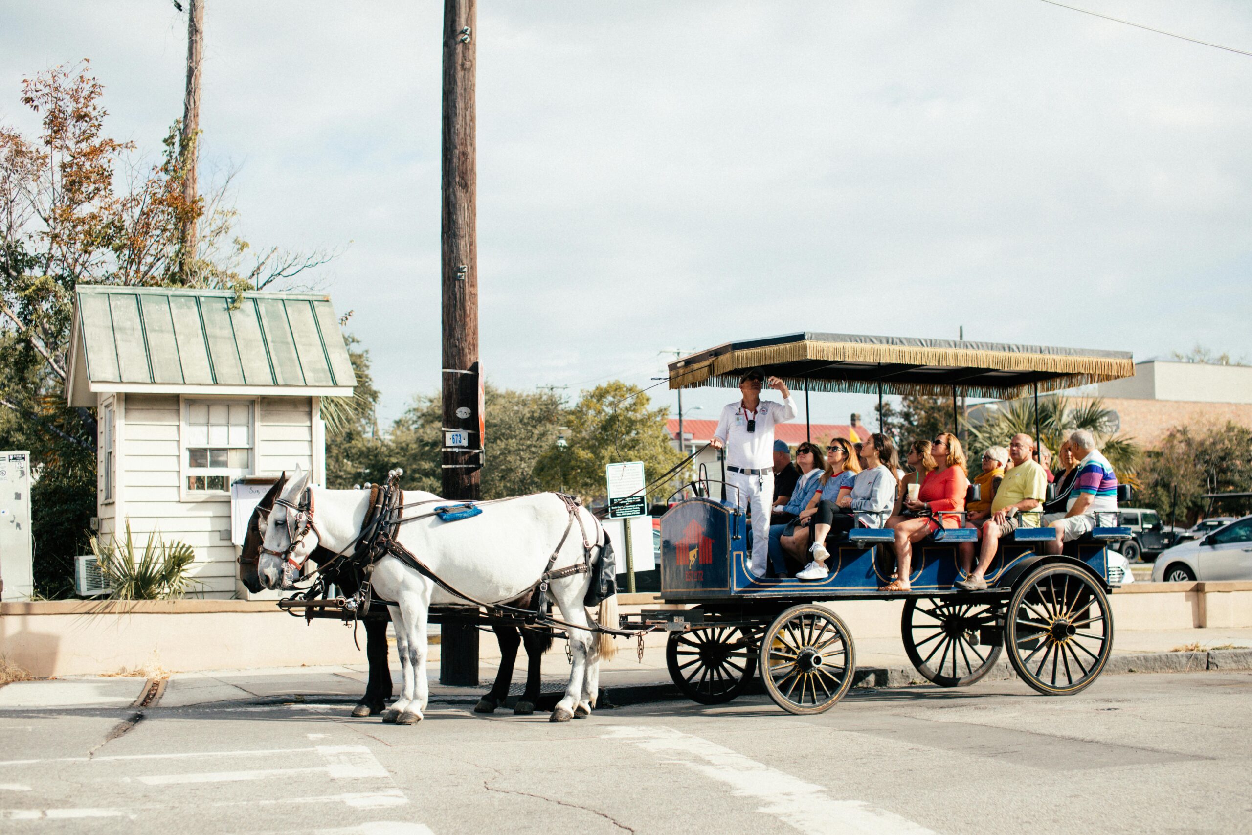 Tourists enjoy a scenic horse-drawn carriage ride through the city, guided by an experienced tour guide. kali travels